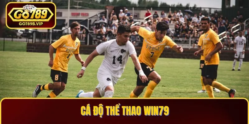 Cá độ thể thao Win79 Cá độ thể thao Win79